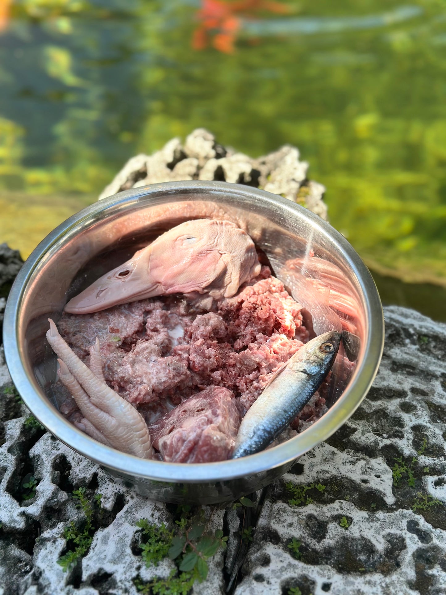 Fish & Beef Blend
