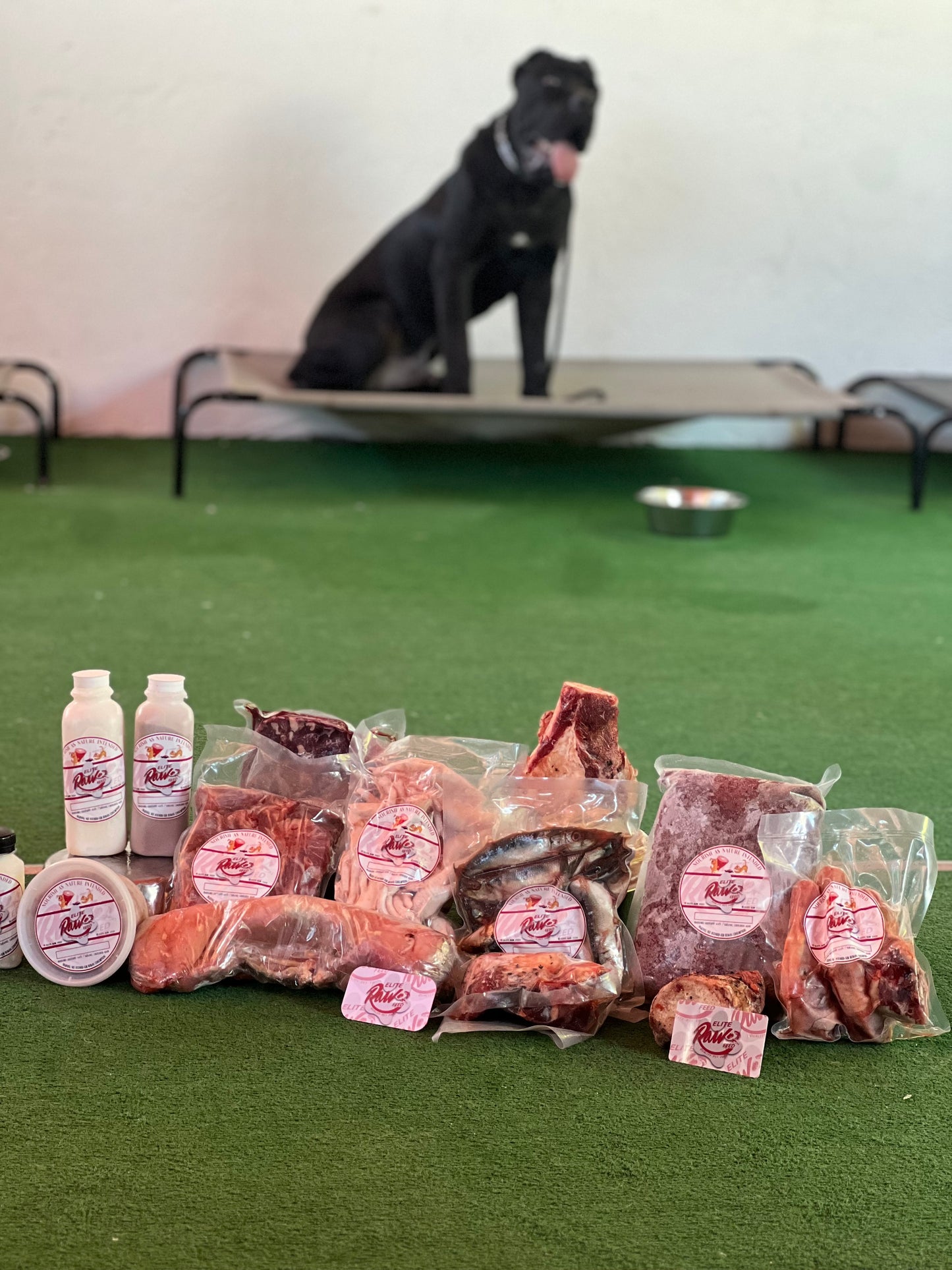 Poultry Blend