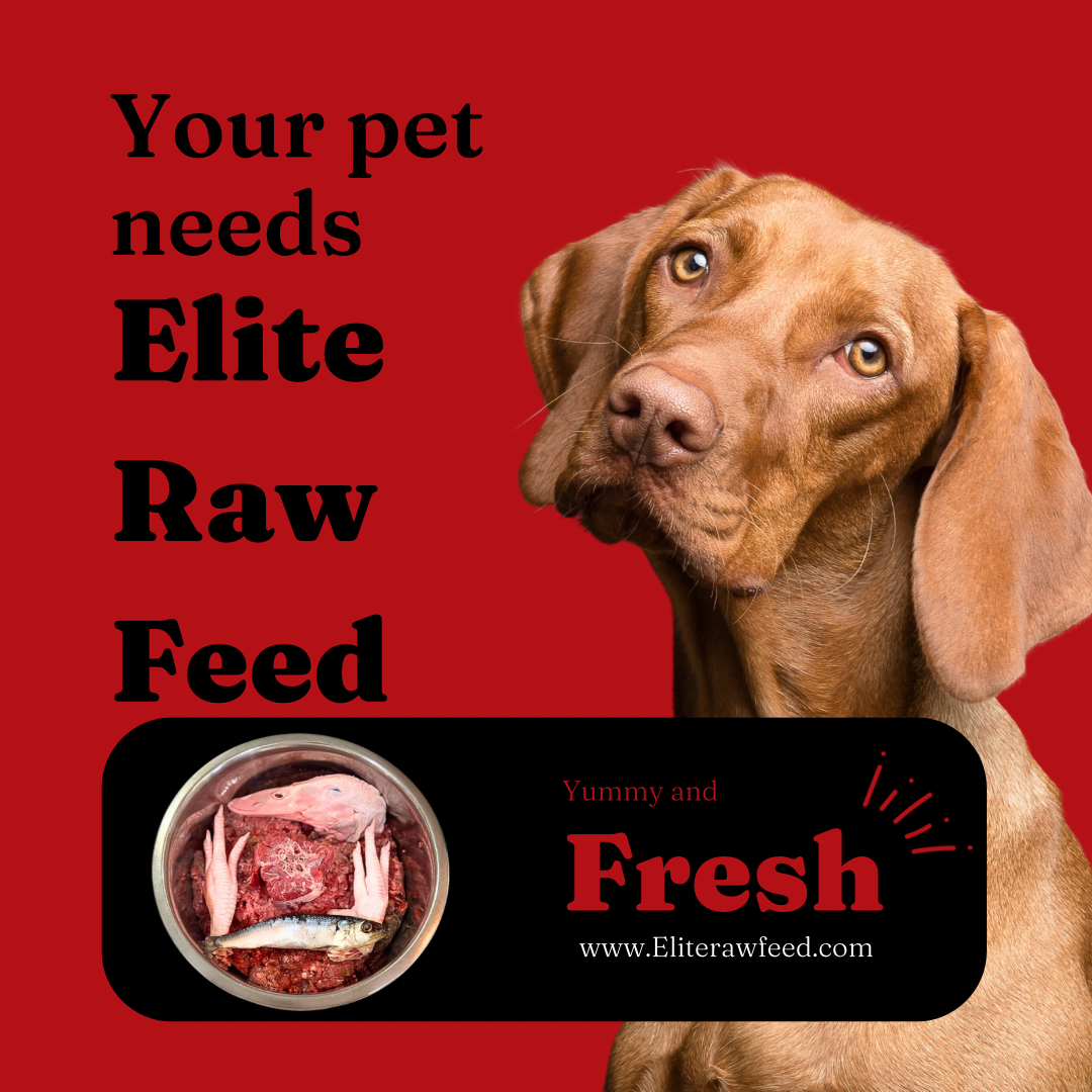 Fish & Beef Blend