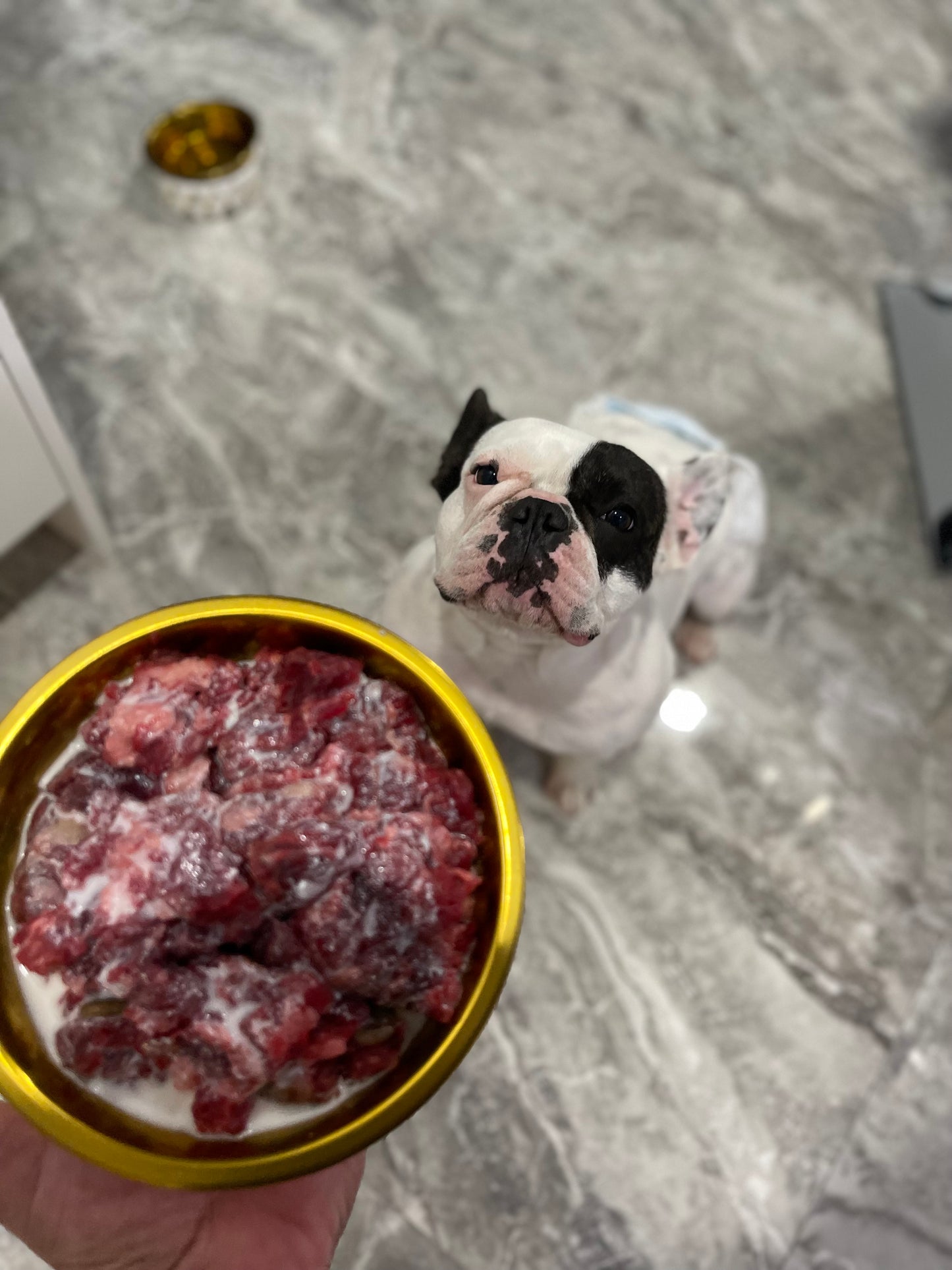 Beef & Veggie Blend