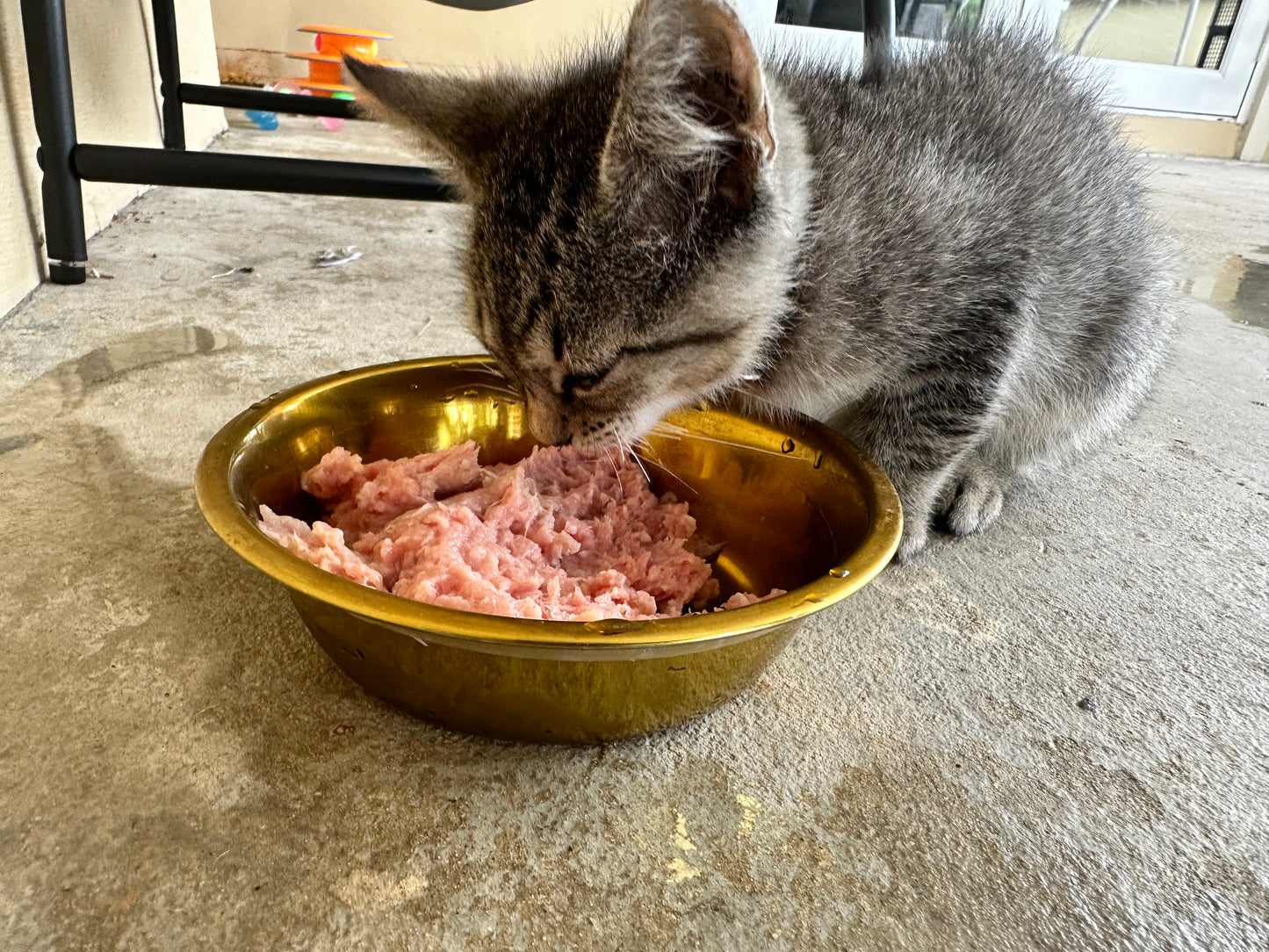 Chicken Hearts