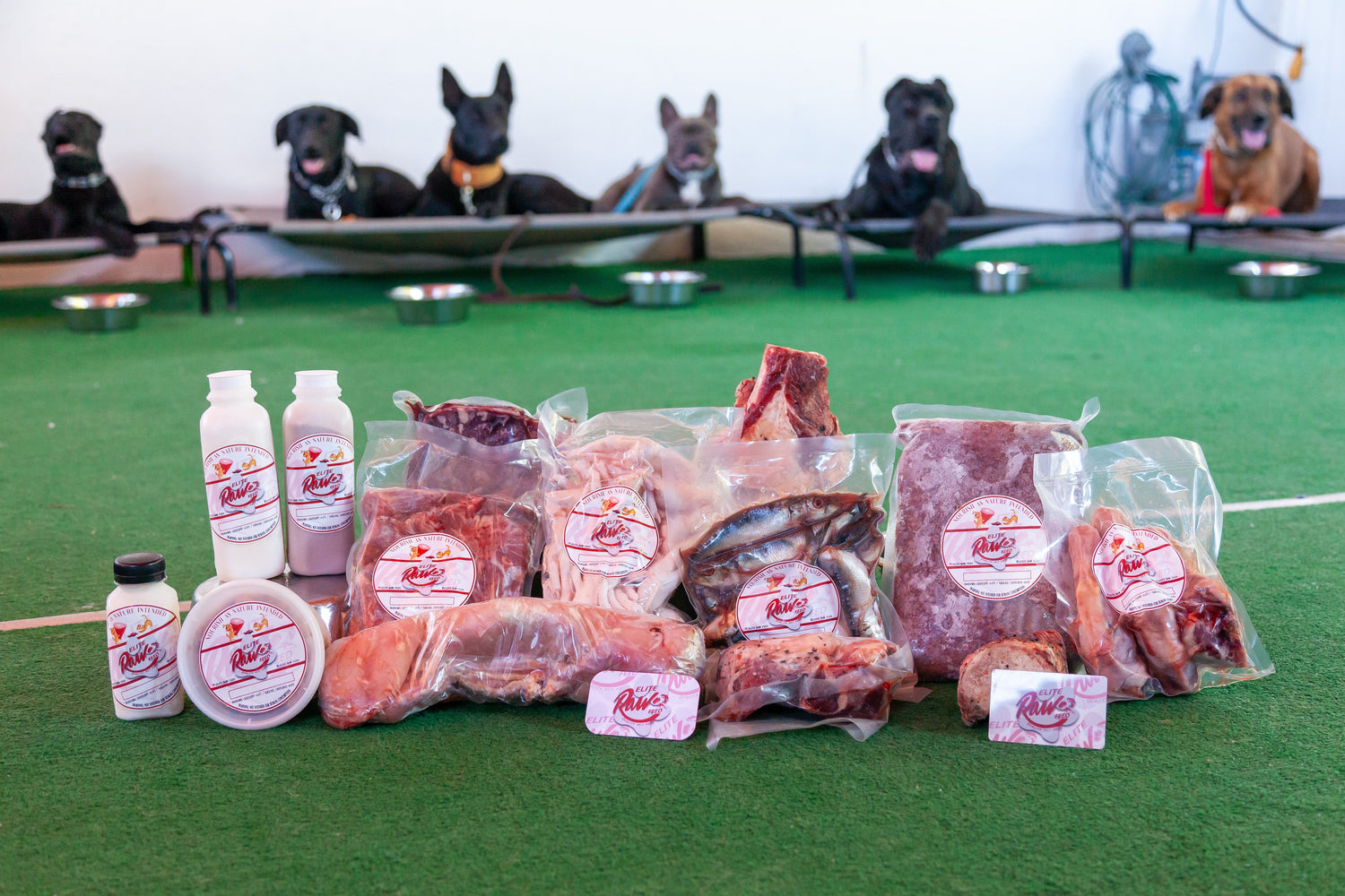 Treats & Vitamin Supplements