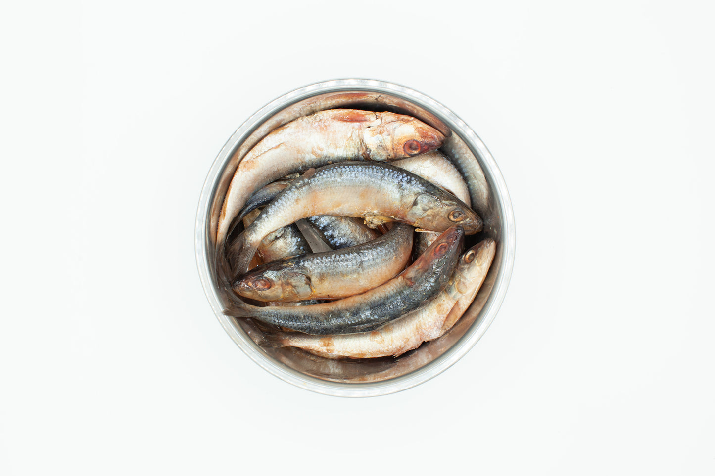 Bone Marrow Shank