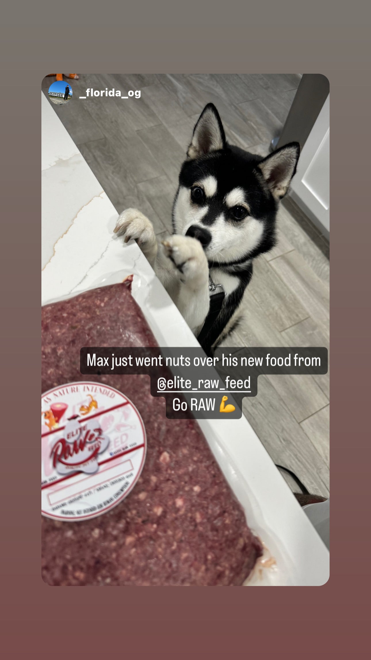 Fish & Beef Blend